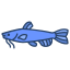 Cat Fish icon