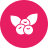 Berries icon