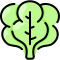 Spinach icon