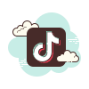 的TikTok icon