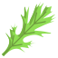 Mizuna Leaf icon