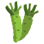 Wasabi icon