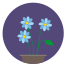 Blue Flowers icon