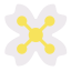 Flower icon