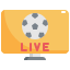 Live Streaming icon