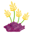 Underwater Plant icon