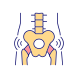 Pelvis icon