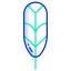 Cuculus Canorus Feather icon