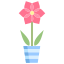 Amaryllis icon