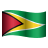 Guyana icon