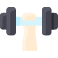 Barbell icon