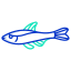 Neon Tetra Fish icon