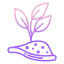 阳光下的植物 icon