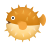 Blow Fish icon