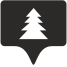 Fir icon