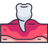 Premolar icon