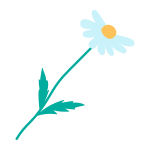 Camomile icon