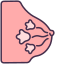 Breast icon