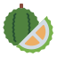 Durian icon