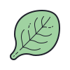 Spinach icon