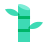 Sugarcane icon