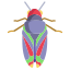 Cicada icon