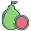 Guava icon