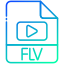 FLV icon