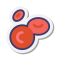 Erythrocytes icon