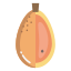 Kumquat icon