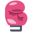 Boxing Gloves icon