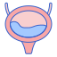 Bladder icon