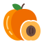 Apricot icon