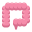 Intestine icon