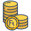 Forint icon