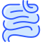 Small Intestine icon