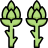 Asparagus icon