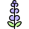 Lavender icon