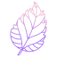 Hibiscus icon