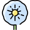 Dandelion icon