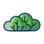 Shrub icon