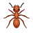 Ant icon