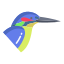 Kingfisher icon