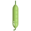 Pea icon