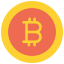 Bit coin icon