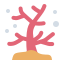 Coral icon