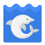 海豚 icon