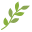 Branch icon