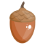 Acorn icon