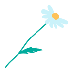 Camomile icon